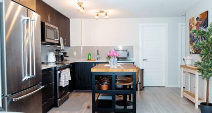 Luxury One Bedroom Apartment