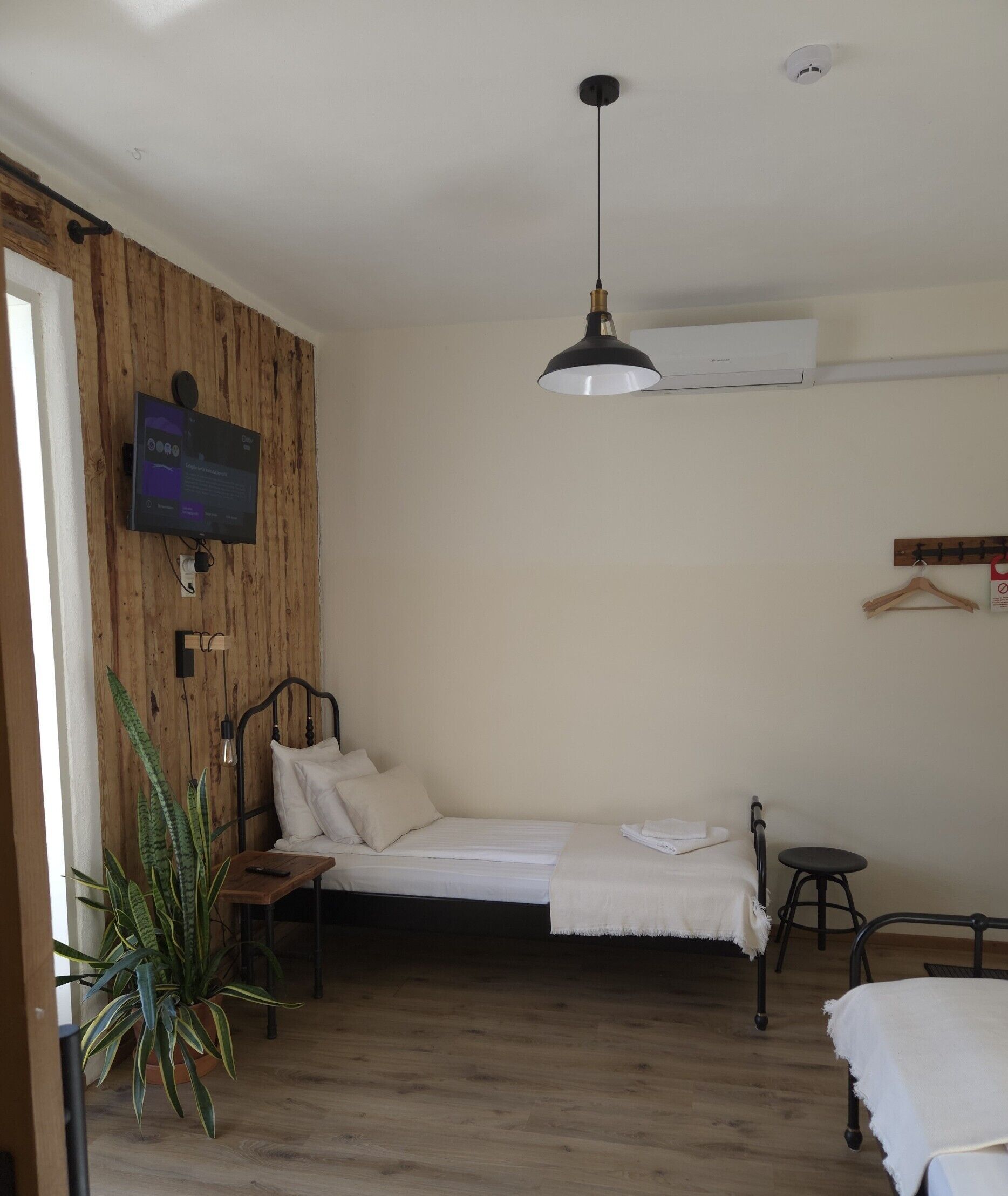 Una cama individual con cabecera de madera, una mesita de noche, una planta colgante, un televisor montado en la pared y un perchero.