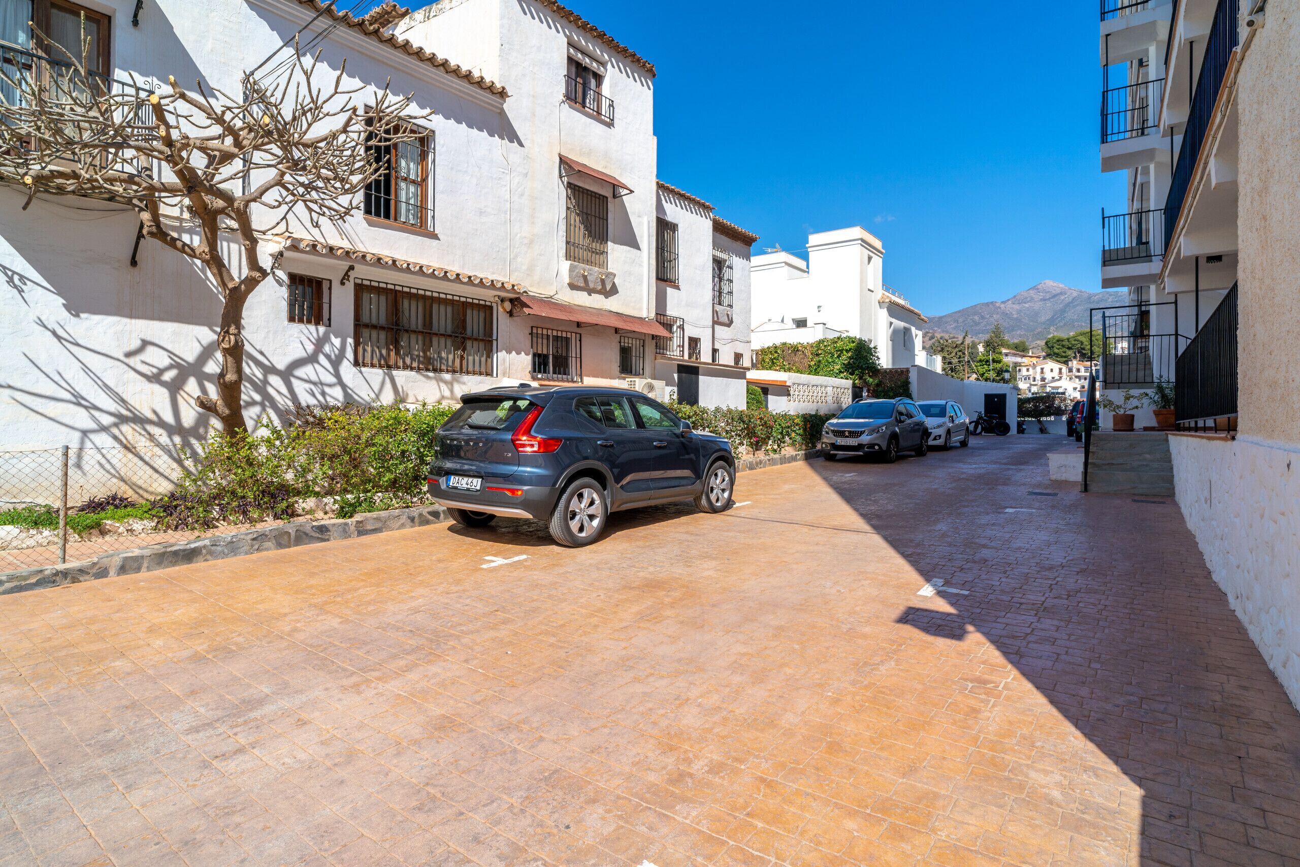 A narrow street lined with white buildings, parked cars, and a tree.