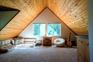 Smart TV, fireplace, DVD player, books