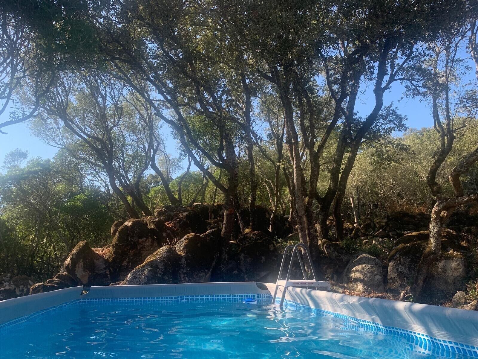 Una piscina circondata da rocce e alberi.