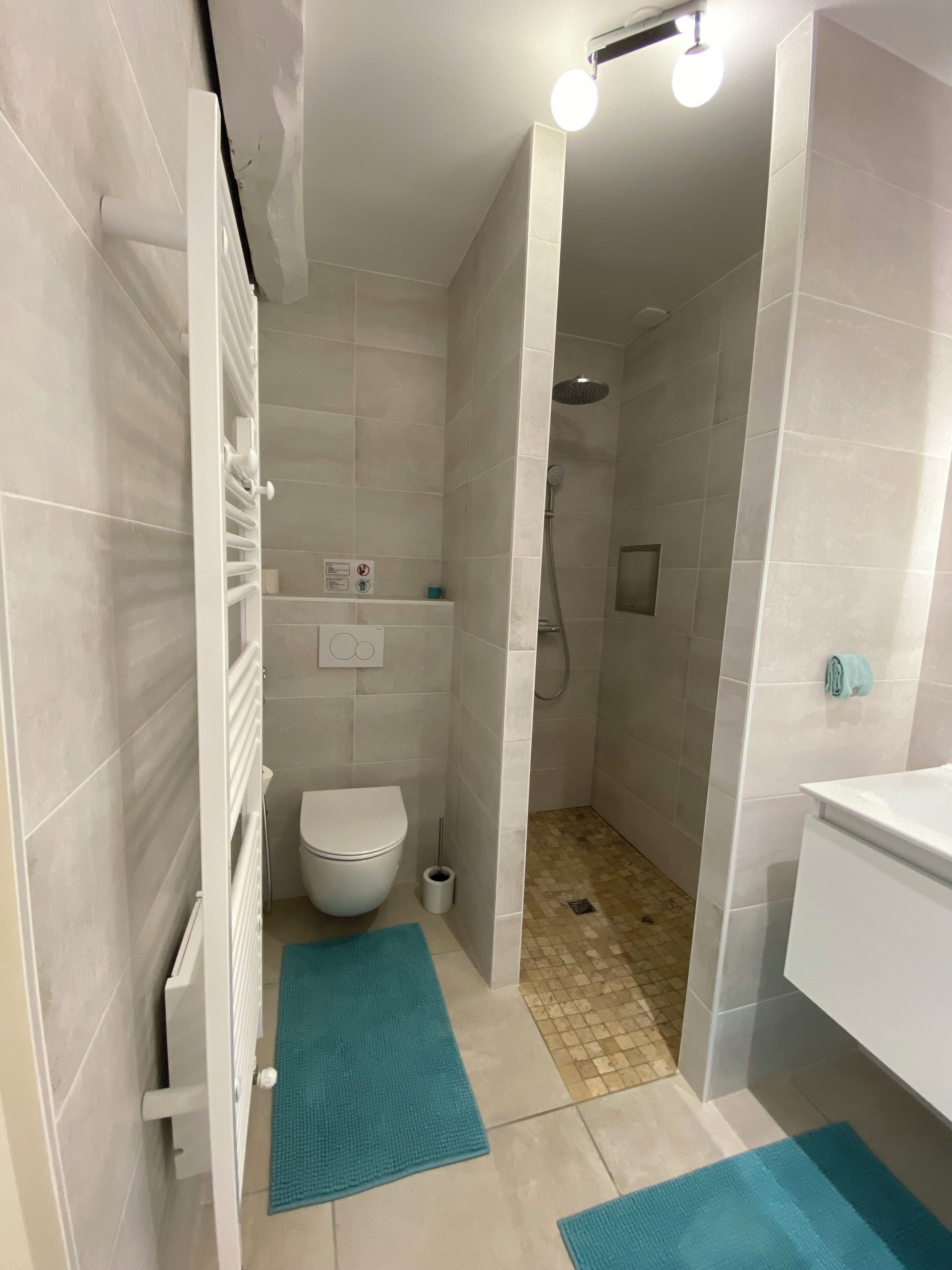 Un baño con inodoro, ducha y lavamanos.