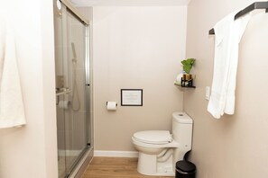 Hair dryer, towels, soap, toilet paper