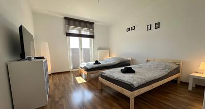 Apartment Lindenallee III - Modern apartment