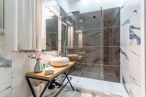 Shower, hair dryer, bidet, towels