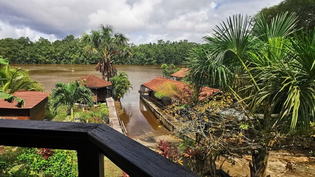 A riverside view with traditional huts and lush greenery.