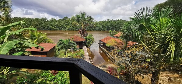 Vista desde la propiedad