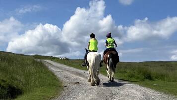 Two people riding horses on a gravel path.