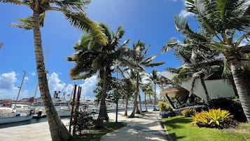 A marina with palm trees lining the walkway, boats docked, and a clear blue sky.