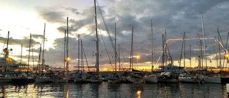 Marina