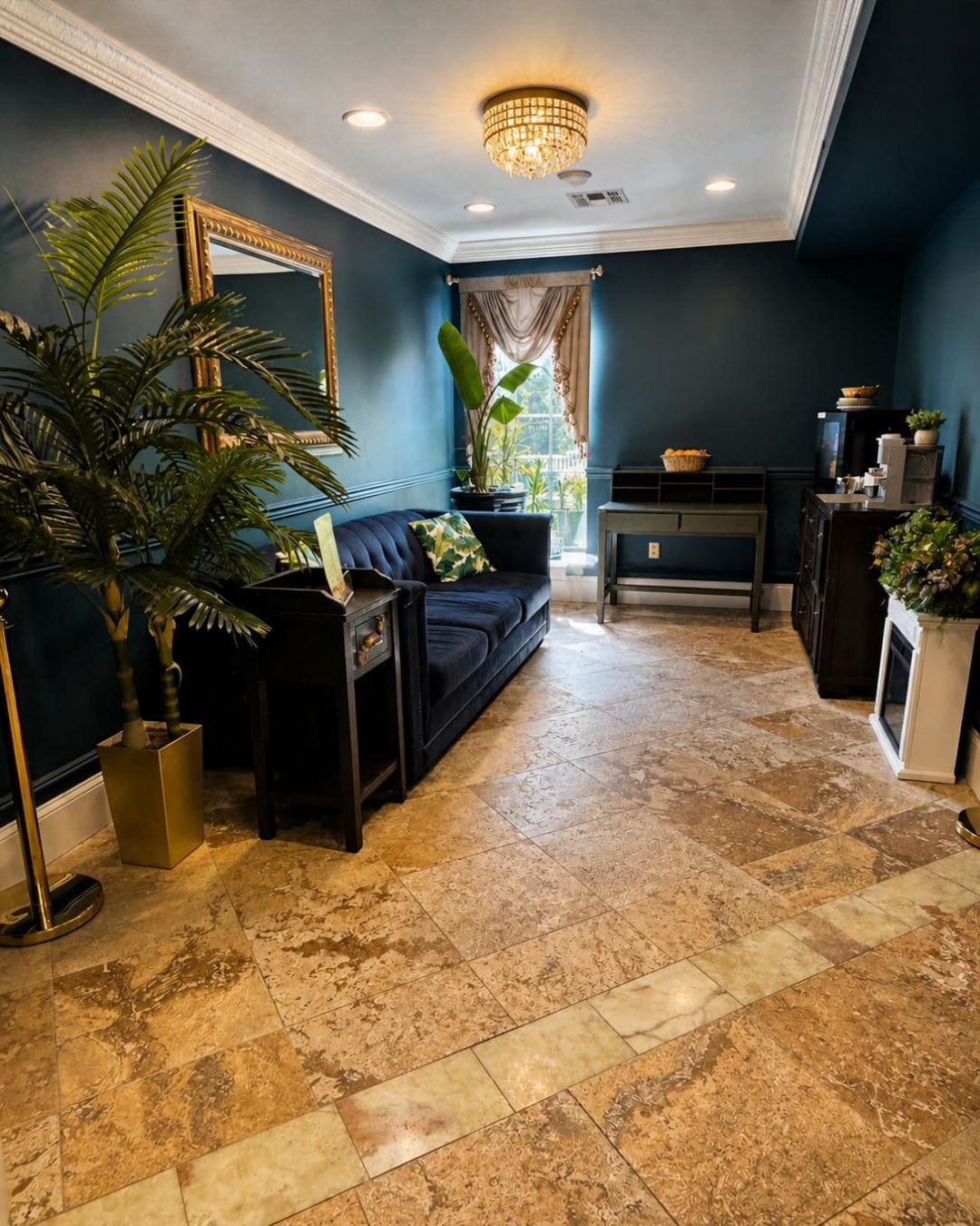 A living room with a dark blue wall, a black sofa, a large potted plant, and a chandelier.