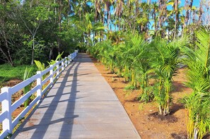 Ein Betonweg, der von weißen Geländern gesäumt und von üppiger, grüner Vegetation und hohen Palmen gesäumt wird.