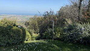 Un jardin doté d’une structure métallique, d’un feuillage luxuriant et offrant une vue lointaine sur un paysage côtier.