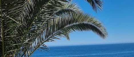 Vista spiaggia/mare