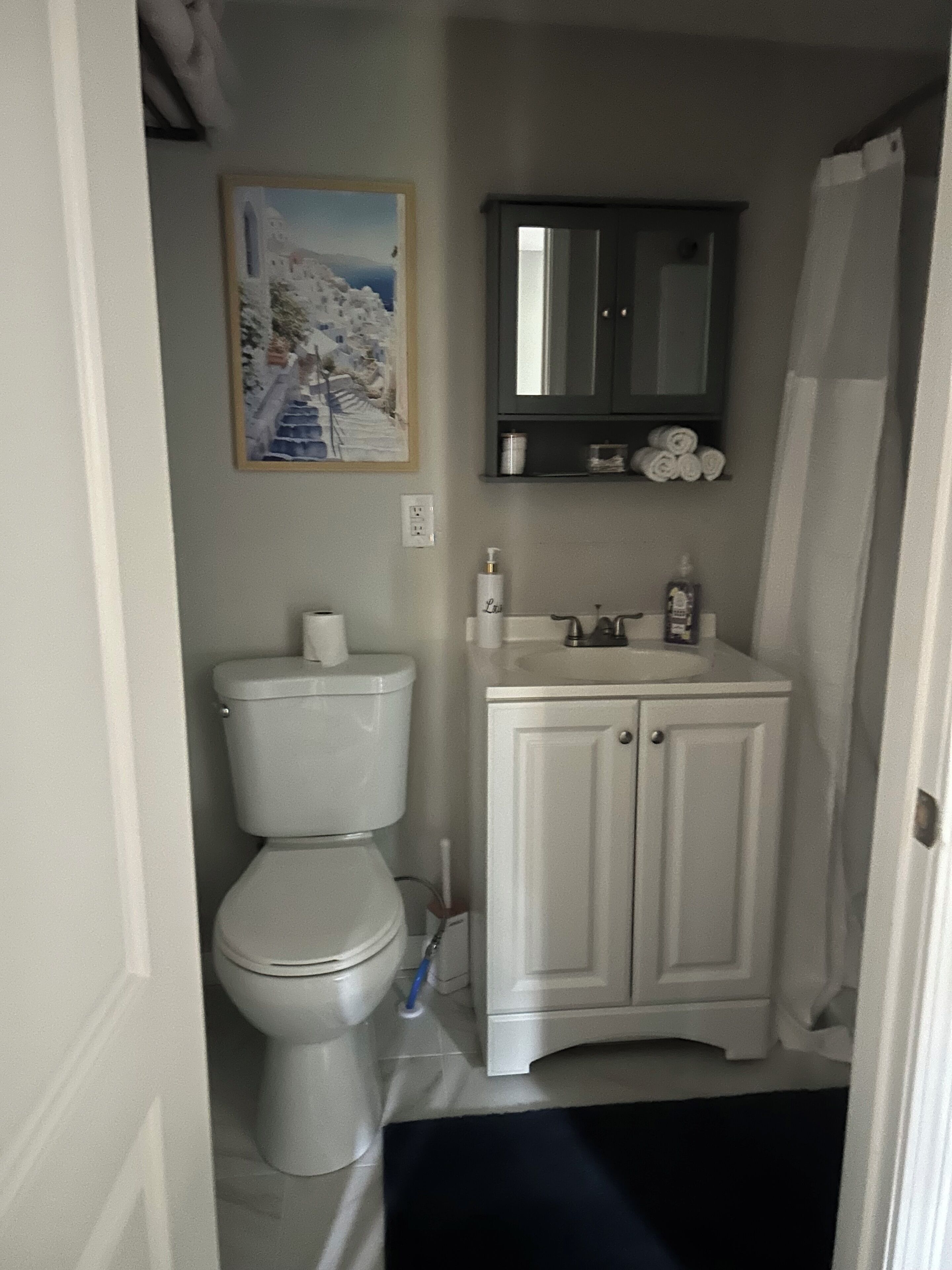 Une salle de bain comprenant des toilettes, un lavabo, un meuble de rangement, un tableau et un rideau de douche.