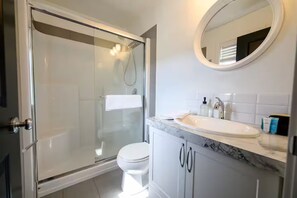 Hair dryer, towels, soap, toilet paper