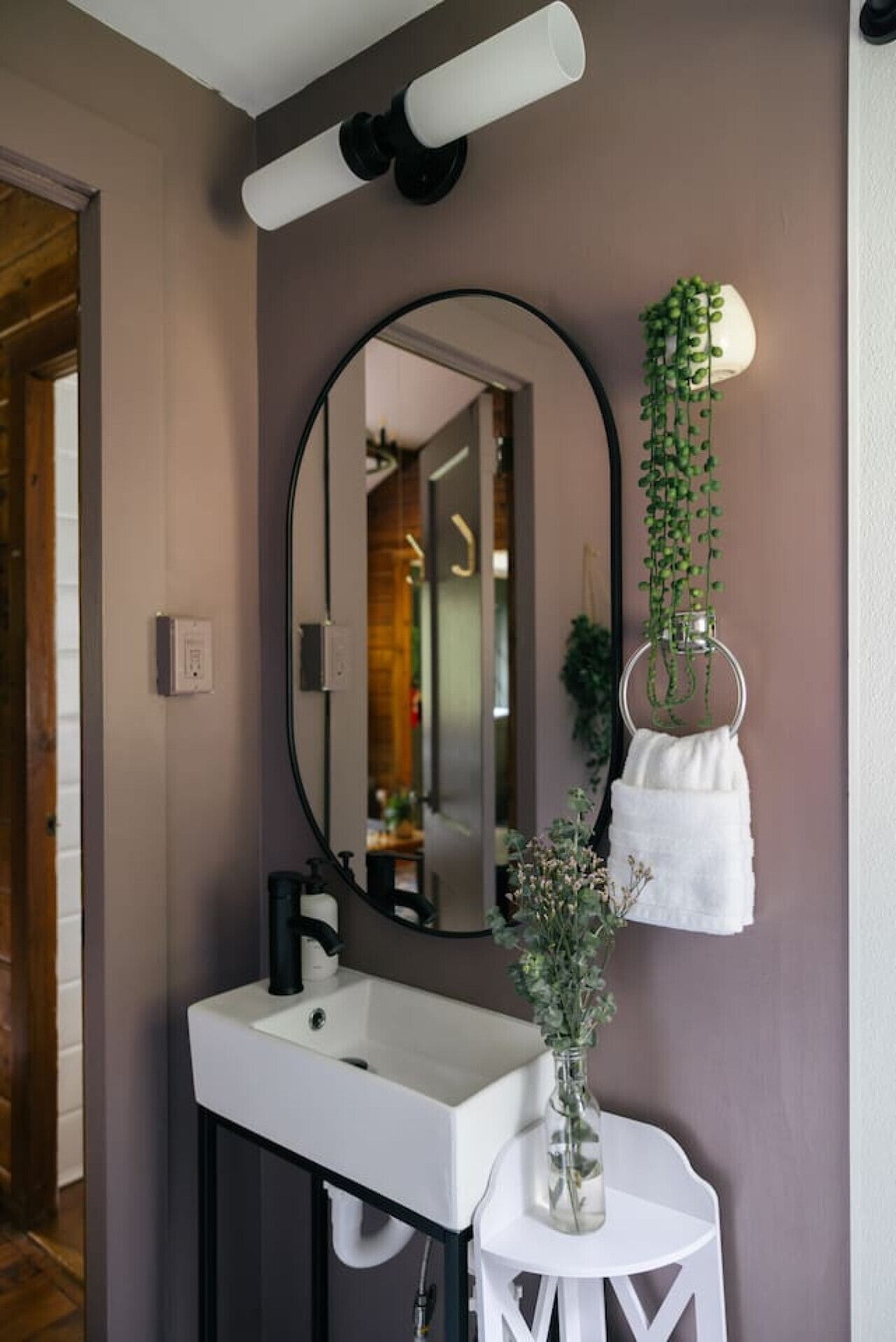A bathroom with a white sink, a round mirror, and a hanging plant.