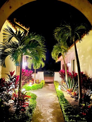 Vue nocturne d’une cour avec un chemin pavé, des palmiers et diverses plantes.