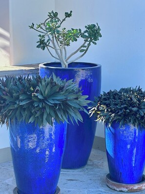 Three large blue planters with different types of plants, placed on a concrete surface.