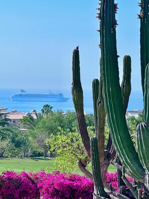 A coastal landscape with cacti and bougainvillea in the foreground, a cruise ship in the distance, and buildings with domed roofs.