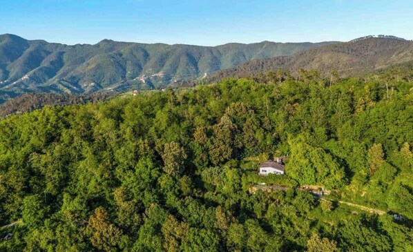 Paisaje montañoso con bosque denso y una pequeña casa rodeada de árboles.