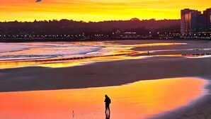 Una playa con una persona de pie en el agua, un ave volando y edificios al fondo.