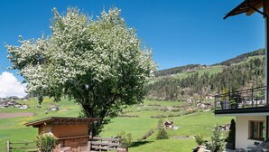 Uklassifisert bilde, 2 av 38, knapp