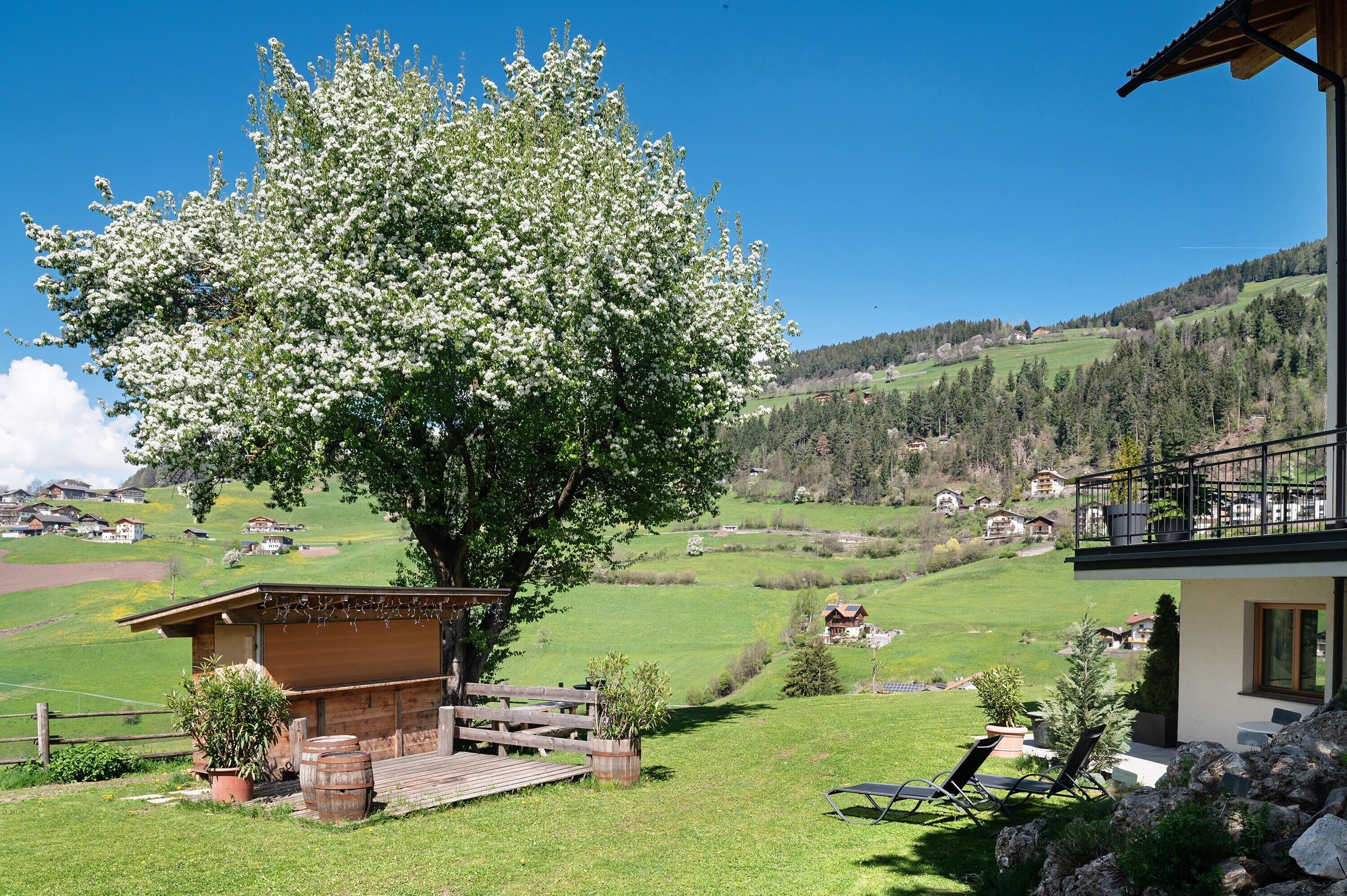 Une maison de montagne dotée d’une terrasse en bois, d’un grand arbre et offrant une vue sur une vallée verdoyante.
