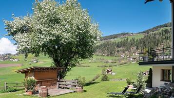 Une maison de montagne dotée d’une terrasse en bois, d’un grand arbre et offrant une vue sur une vallée verdoyante.
