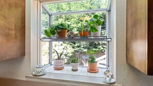 Une fenêtre avec plusieurs plantes en pot disposées sur un rebord.