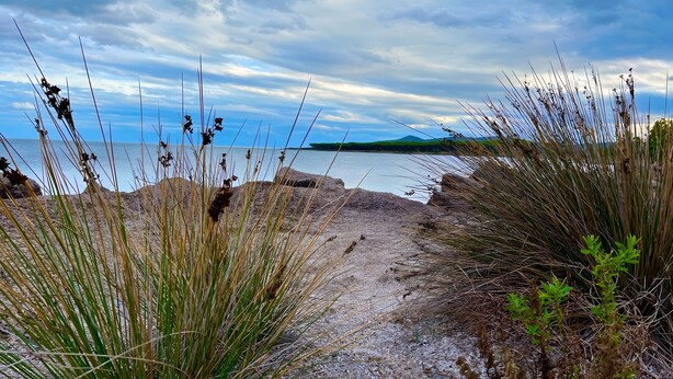 A coastal landscape with a gravel path leading to the sea, surrounded by tall grasses and shrubs. - Apartment 'Agata Verde' with Views of the Hills and Garden (Porto Ottiolu)