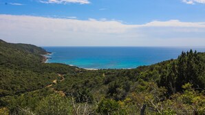 Un paysage côtier caractérisé par une végétation luxuriante, un ciel dégagé et une vue sur la mer.