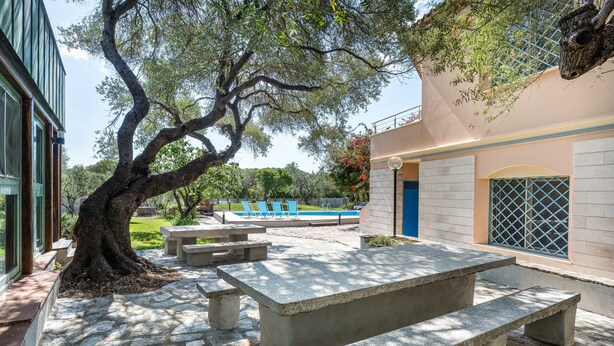 Un patio con bancos de piedra, un árbol y una piscina al fondo.