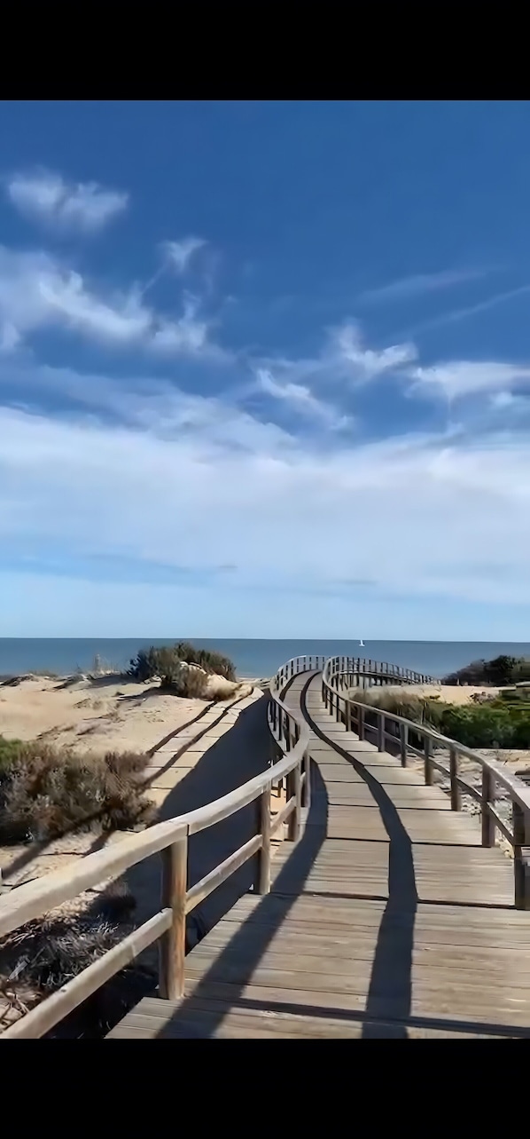 Un paseo marítimo de madera que lleva a una playa con dunas y vegetación escasa.