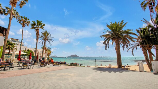 Eine gepflasterte Promenade mit Tischen und Stühlen, Palmen und einem Strand im Hintergrund.