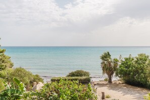 Blick auf die Küste mit einem Sandstrand, Palmen und einem klaren Himmel.