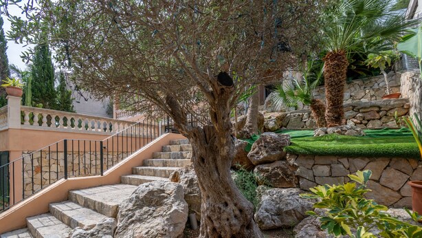 A stone staircase leading up to a building with a large tree in the center. - Holiday Home 'Nostra' with Mountain View, Private Pool and Wi-Fi (Cas Català)