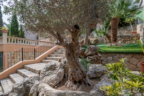 A stone staircase leading up to a building with a large tree in the center.