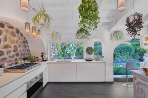 A modern kitchen with a central island, pendant lights, and hanging plants.