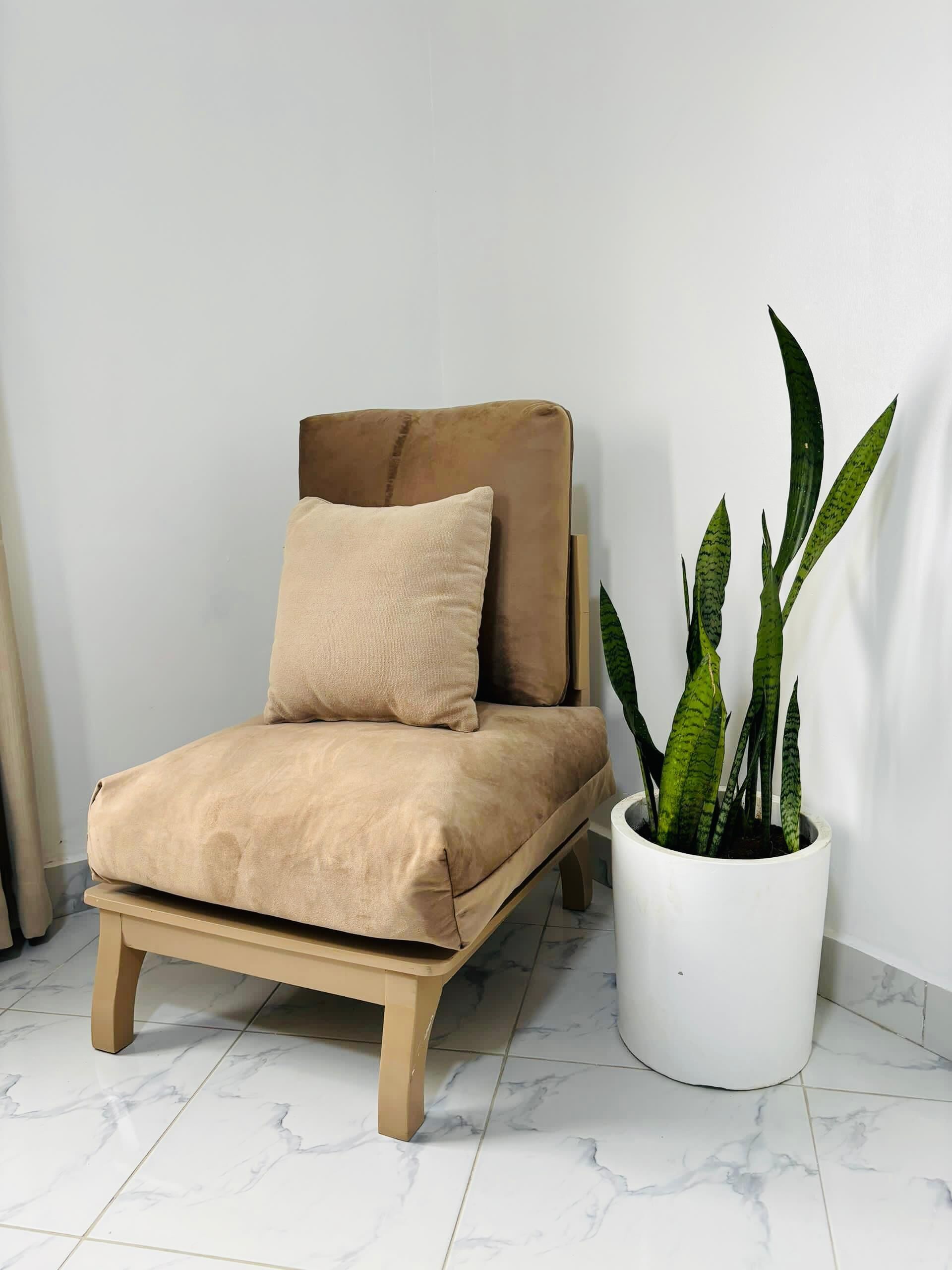 A beige armchair with a cushion, a potted plant with long green leaves, and a white wall.