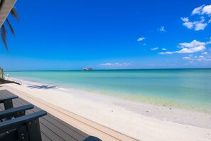 On the beach - AMI Swedish Beach House: Bay Front! Overlooking Tampa Bay! by Anna Maria Life Vacation Rentals (Anna Maria)