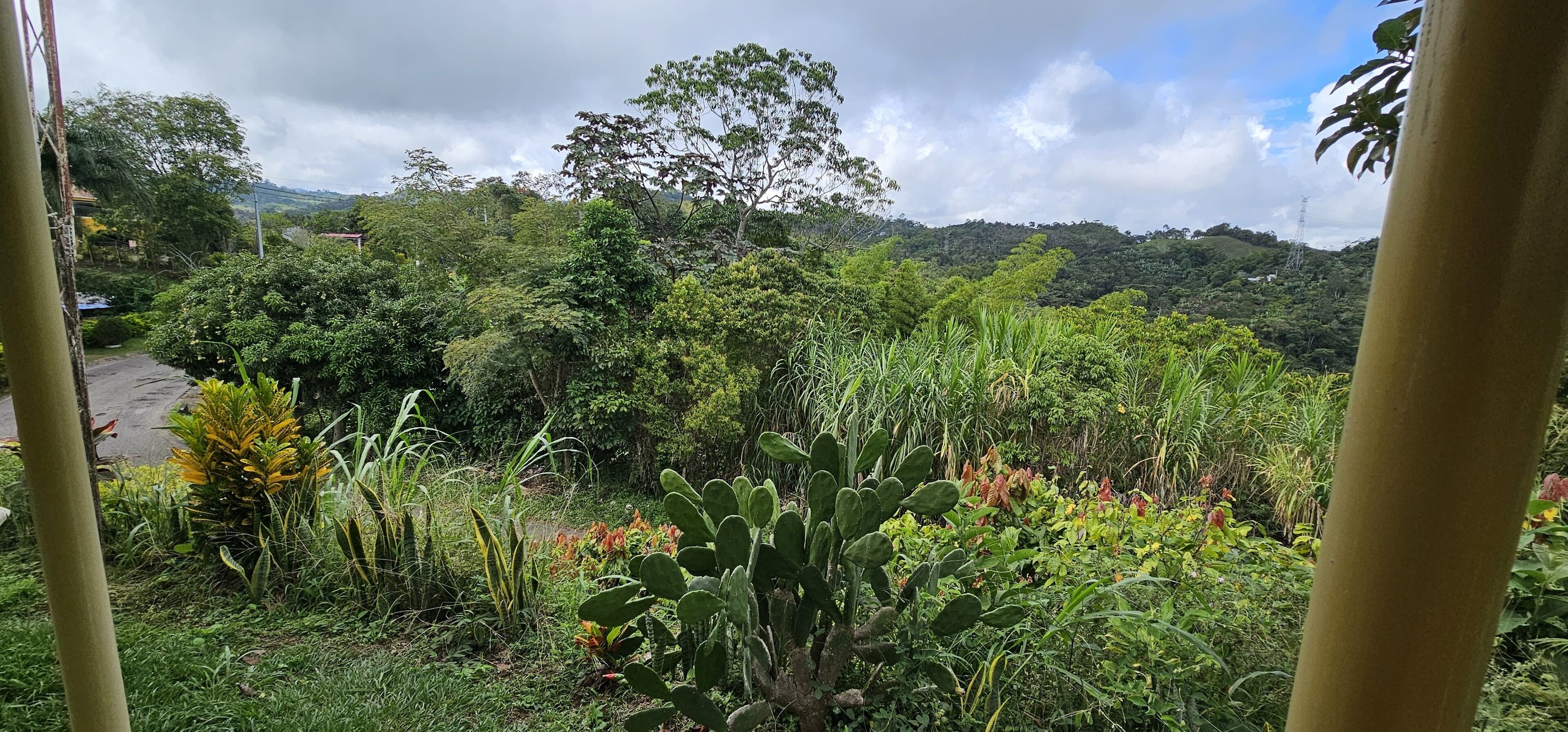Vista desde la propiedad
