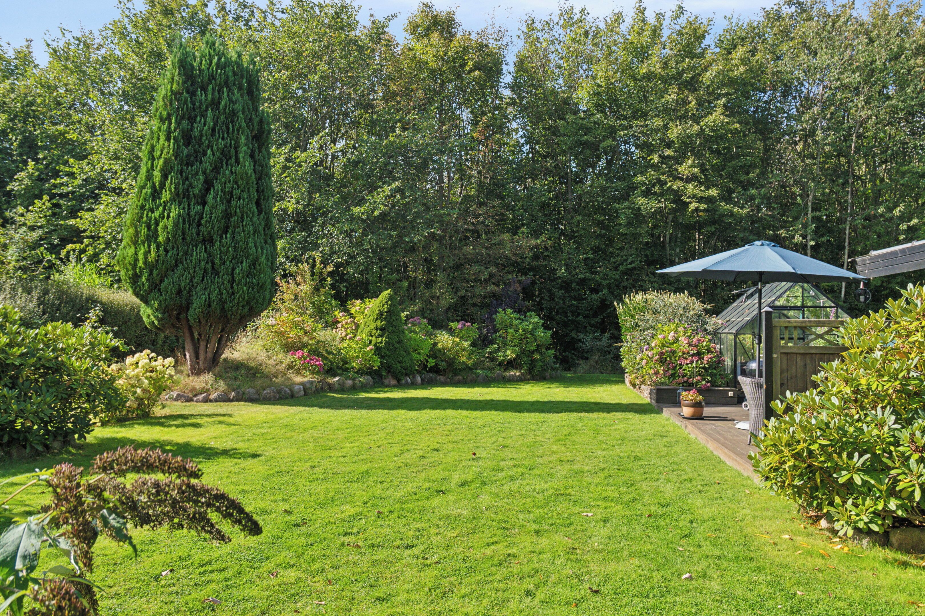 A well-maintained garden with a lawn, a tall coniferous tree, and a wooden deck with a blue umbrella.