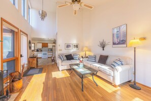 Smart TV, fireplace, books