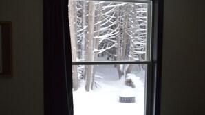 A window with a view of snow-covered trees and a snow-covered ground. - Charming quiet 2-bedroom house set in a cedar forest in welcoming Fish Creek (Fish Creek)