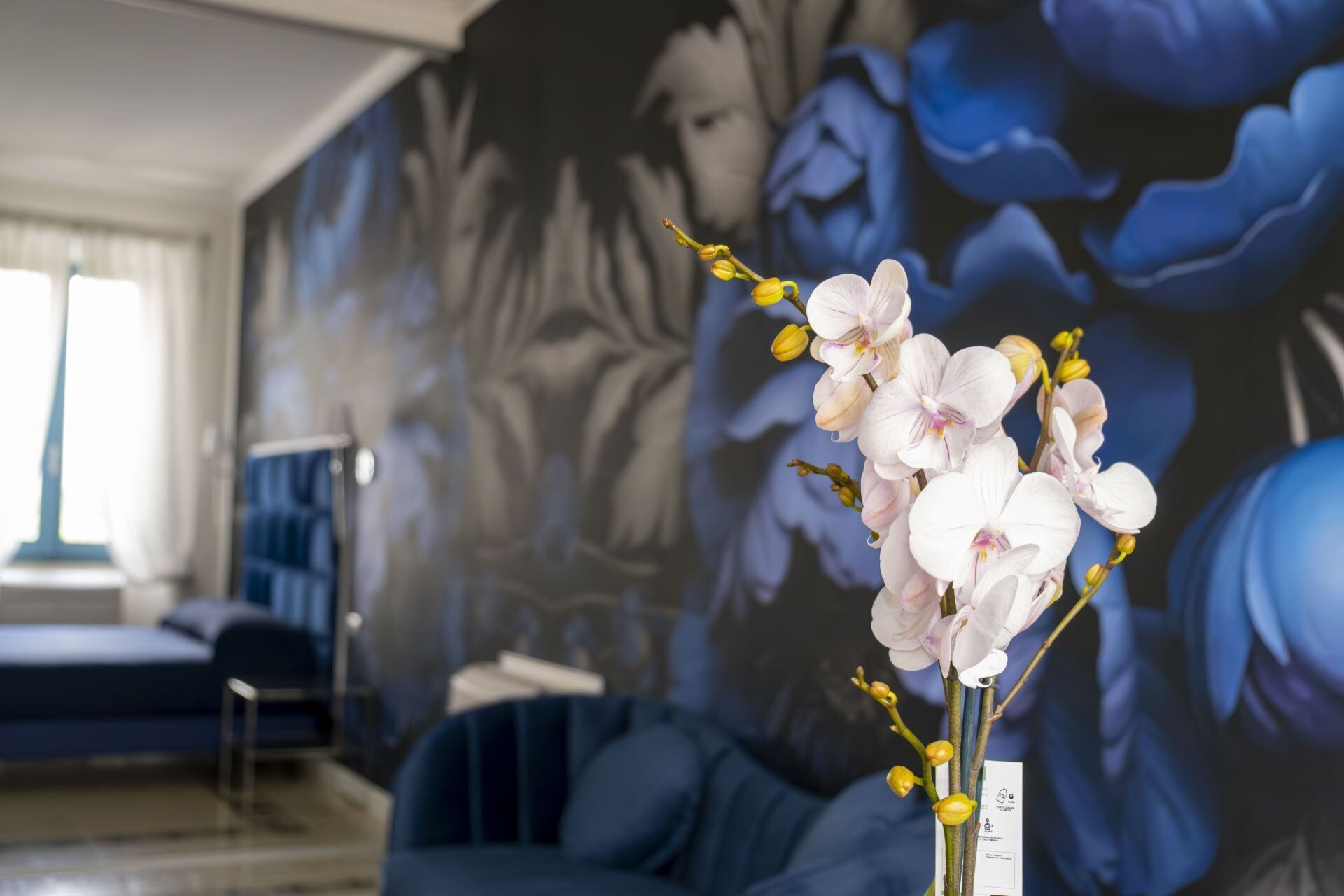 A room with a large floral mural on the wall, a blue sofa, and a vase with white flowers.