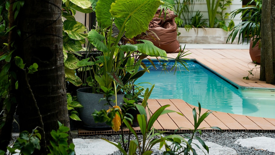 Zinnia Villa