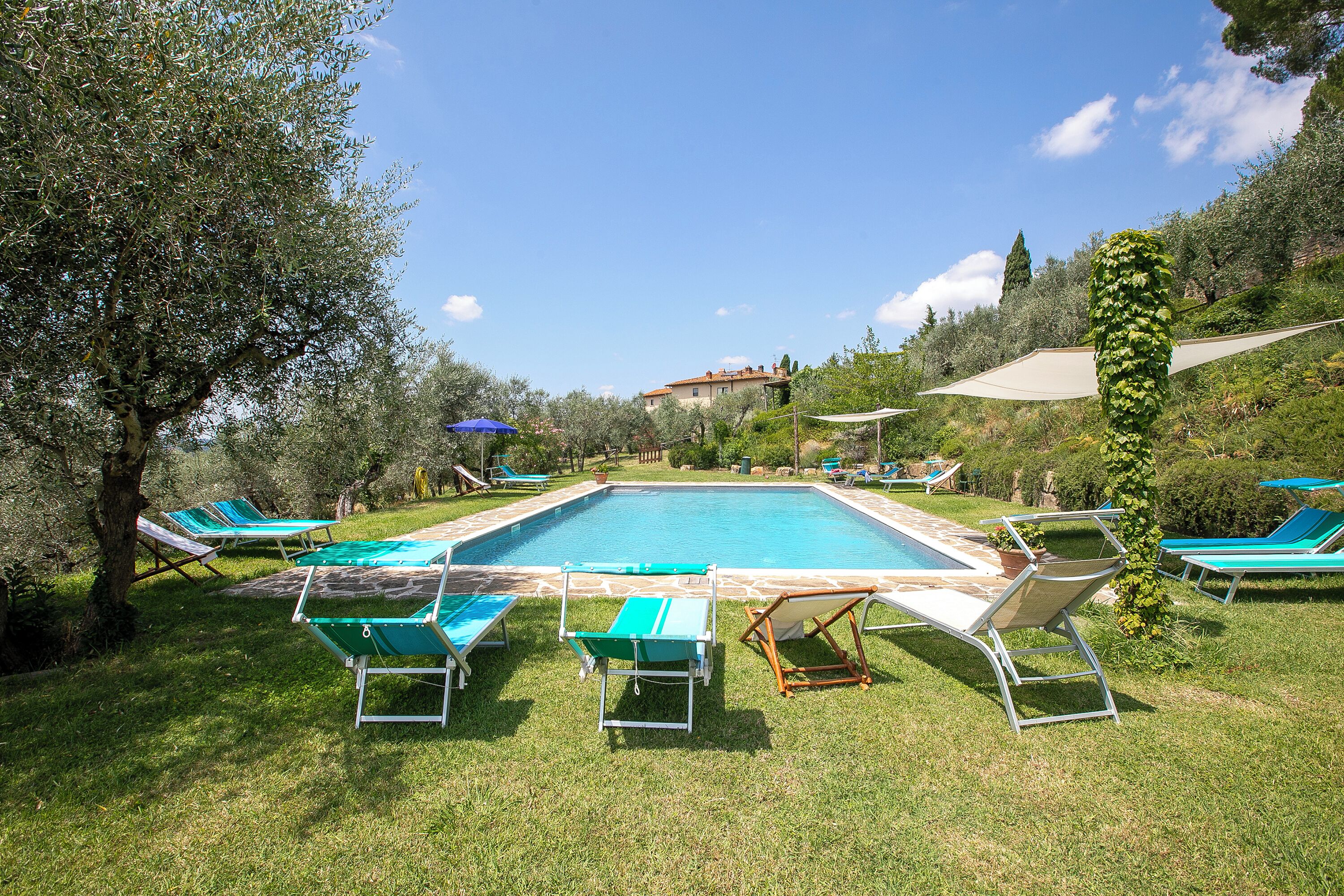 A swimming pool with lounge chairs and umbrellas, surrounded by greenery and trees.