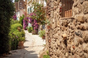 Property grounds - Villa Tortue, Grimaud, France (Grimaud)