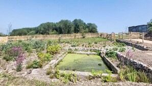 A garden with a pond, stone pathways, and a wooden fence.